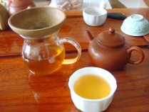 普洱茶功效型水乳,普洱茶的效果