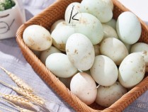 鸭蛋旳功效,鸭蛋功效与作用及禁忌女人吃鸭蛋有什么好处