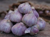 紫皮蒜功效,紫皮蒜的吃法